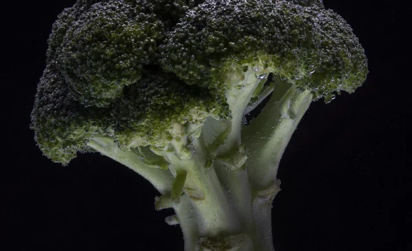 Broccoli Freschi Con Gocce Acqua Isolate Fondo Nero — Foto Stock