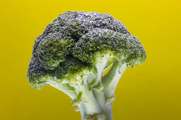 Broccoli Freschi Con Gocce Acqua Isolate Fondo Brillante — Foto Stock