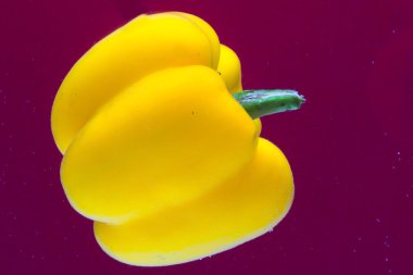 Sarı dolma biber mavi arkaplanda izole edildi