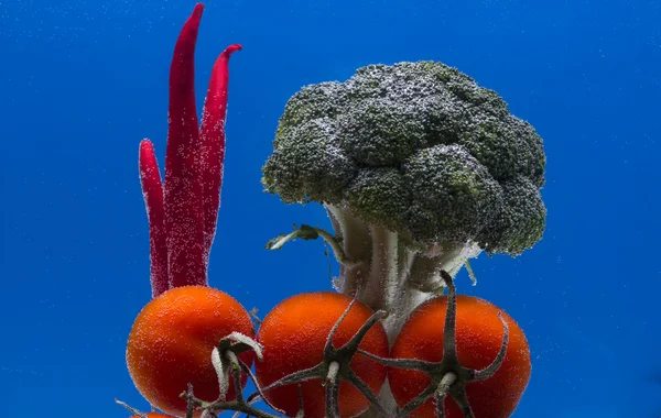 Pomodoro Verdure Broccoli Pepe Isolato Blu — Foto Stock