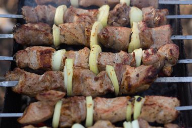 Şiş kebap şiş