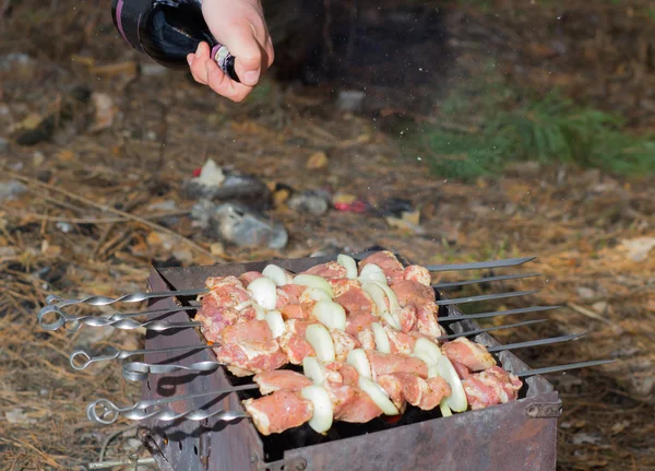 Σις κεμπάπ σε σουβλάκια — Φωτογραφία Αρχείου