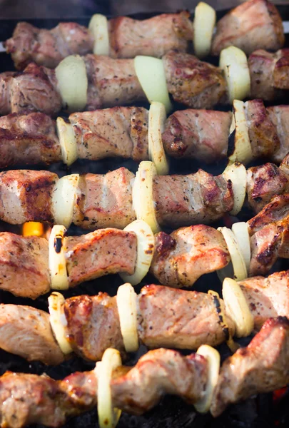 Shish kebab sur les brochettes — Photo