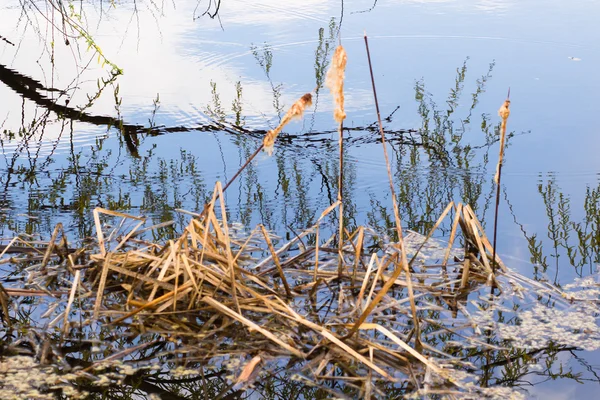 Sonbaharda mavi su ile Poond