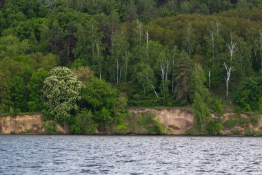 yaz gününde yeşil ağaçlar ile nehir kıyısında. Bulutlarla mavi gökyüzü