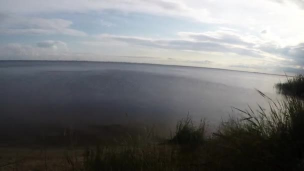 コマ撮りの植物と木で湖の上の雲の動き — ストック動画
