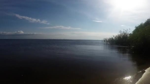 Time-lapse the movements of clouds over the lake with plants and a tree — Stock Video