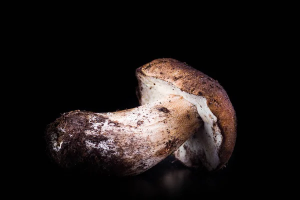 Delicious Boletus Mushrooms Isolated Black Background Culinary Mushroom Eating — Stock Photo, Image