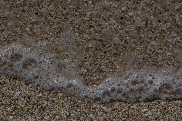 Deniz kabukları kabukları — Stok fotoğraf