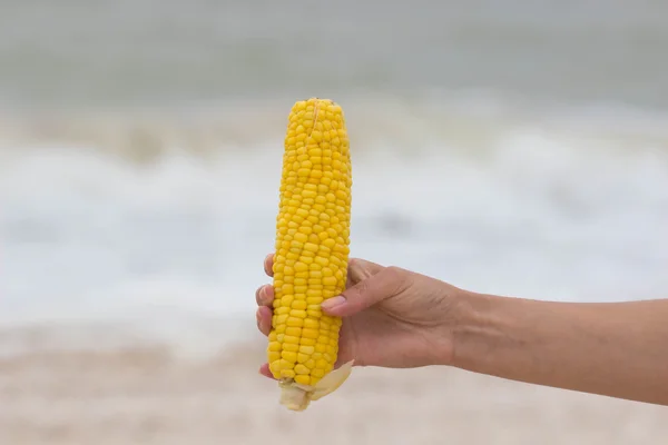 Selling corn on the beach at summer time — Stock Photo, Image