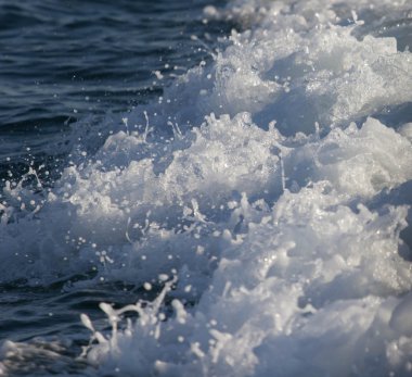 Karadeniz kıyısında dalgalar. Sıçrama suyu