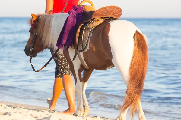 Lindo pony rojo y blanco corriendo en la playa en verano —  Fotos de Stock
