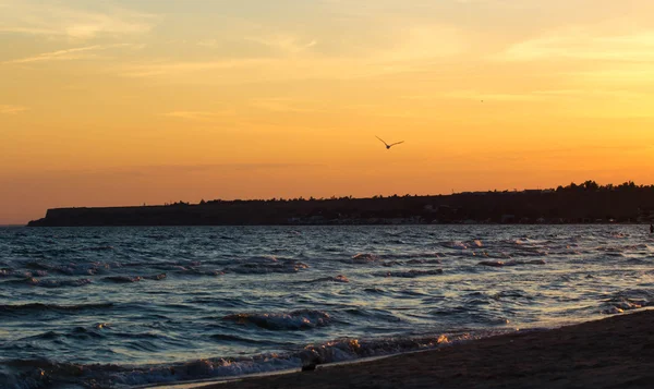 Beautiful Sunset Sea Summer Time — Stock Photo, Image