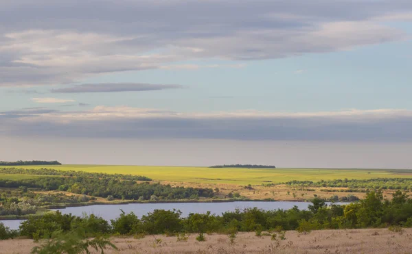 Champ Herbe Lac Sur Ciel Bleu Dans Soleil Matin — Photo