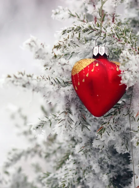 霜の心の中のクリスマス ツリー — ストック写真