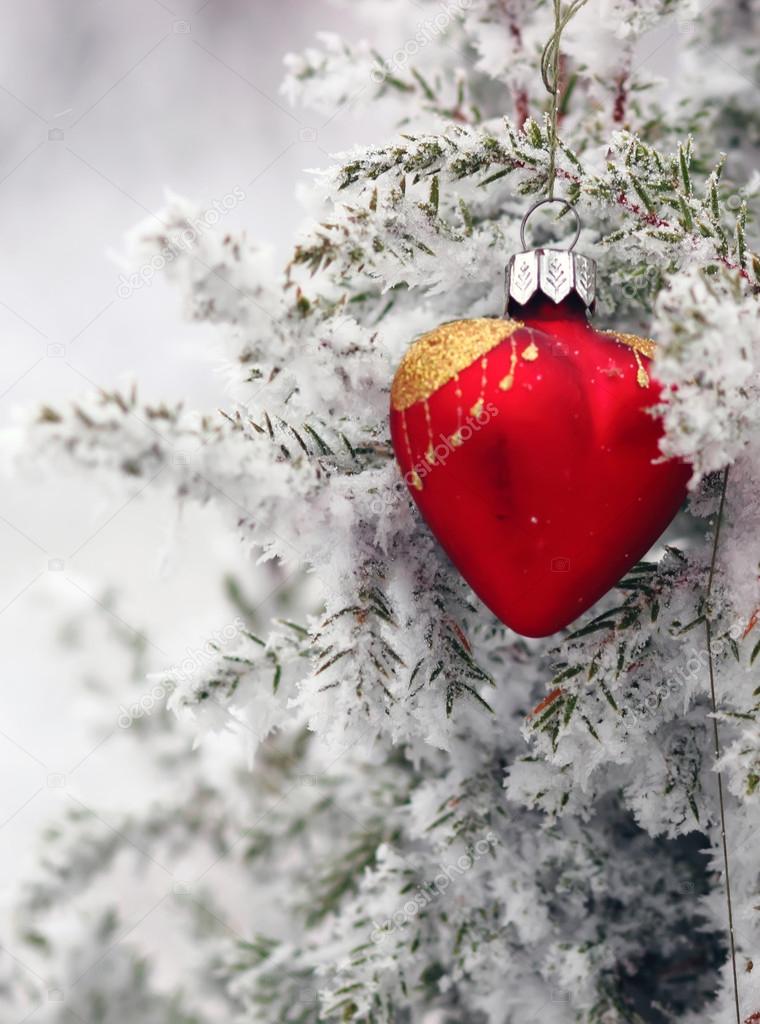 Christmas tree in frost heart