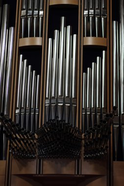 güzel organ