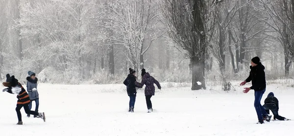 Friends having fun in winter in winter park — Stock Photo, Image