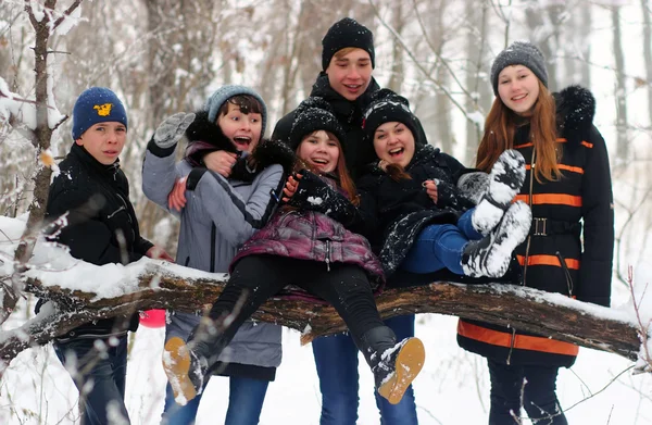 Friends in winter — Stock Photo, Image