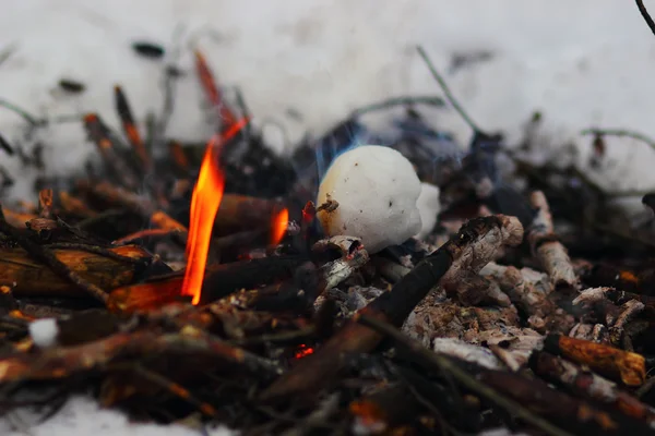 Nieve en el fuego — Foto de Stock