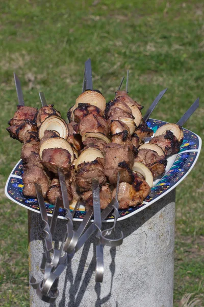 Et plaka üzerinde Kafkasya Barbekü Izgara — Stok fotoğraf