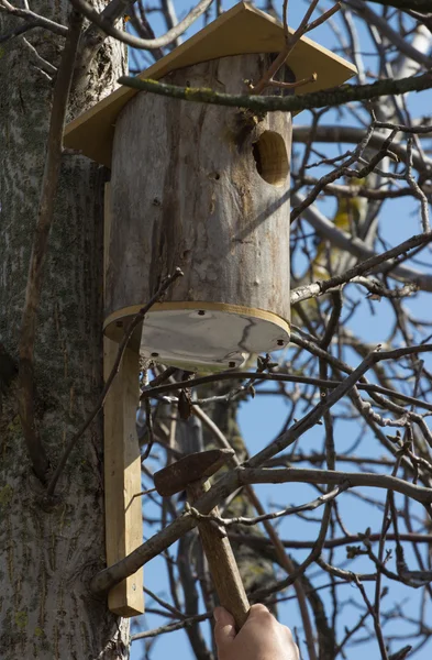 Instalar una casa de pájaros hecha a sí mismo . — Foto de Stock