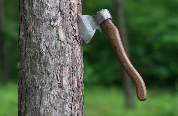 Die Axt im Baum — Stockfoto