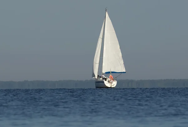 ヨットの白い帆リア ビュー — ストック写真
