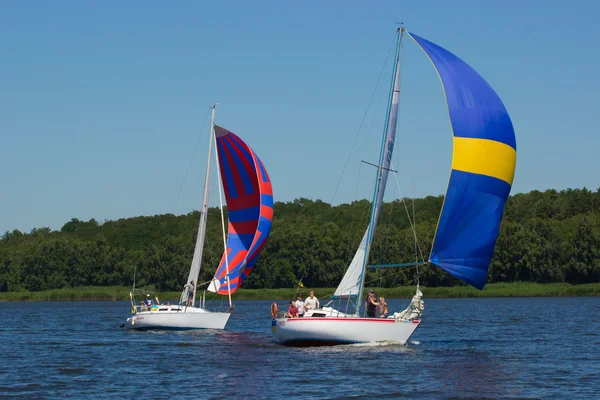 Zeilregatta in Oekraïne — Stockfoto