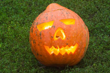 Sonbahar helloween kabak