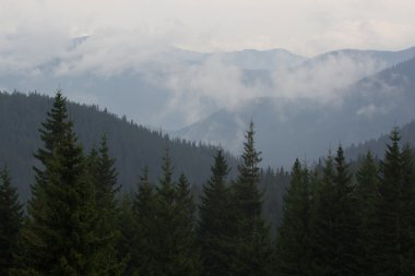 Ukraynalı Karpat Dağları