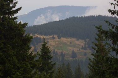 Ukraynalı Karpat Dağları