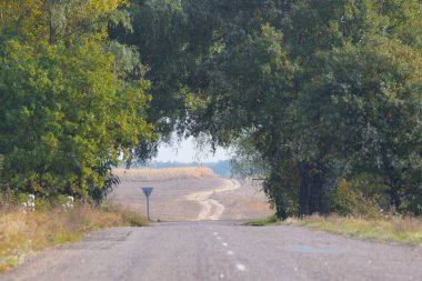 Sonbahar ormanının içinden geçen yol