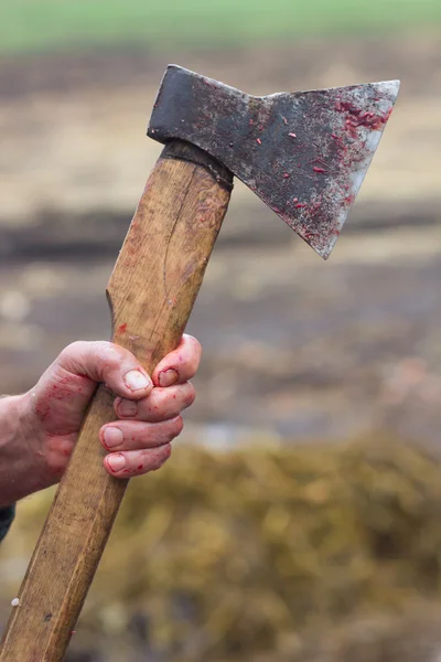 Bloody Ax Killer — Stock Photo, Image