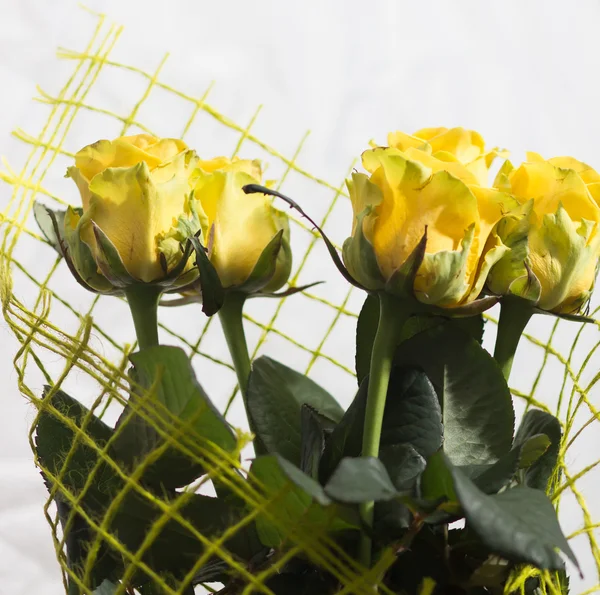 Цветочная желтая роза с капельками воды — стоковое фото