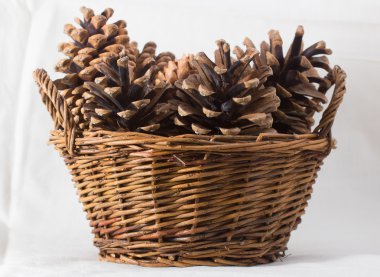 çam kozalakları sepeti