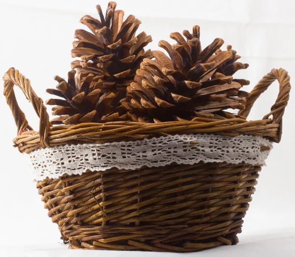 Cesta com cones de pinheiro — Fotografia de Stock