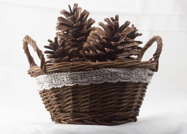 Basket with pine cones — Stock Photo, Image