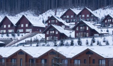 Noel ağacı ışıkları kış