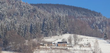 Kış dağ ülke panorama çam ormanı ile