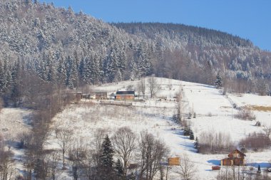 Kış dağ ülke panorama çam ormanı ile