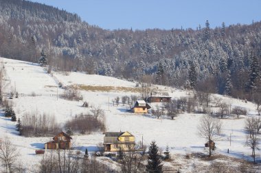 Kış dağ ülke panorama çam ormanı ile