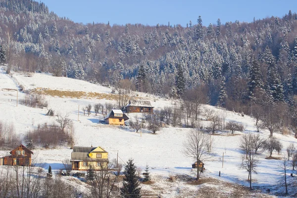 Winter-Berglandpanorama mit Tannenwald — Stockfoto