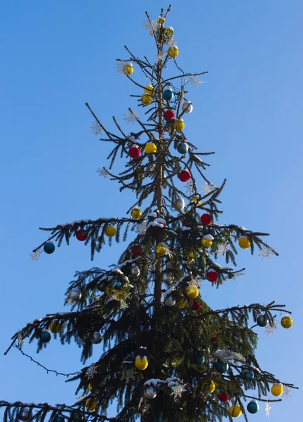 Christmas tree with lights in winter — Stock Photo, Image