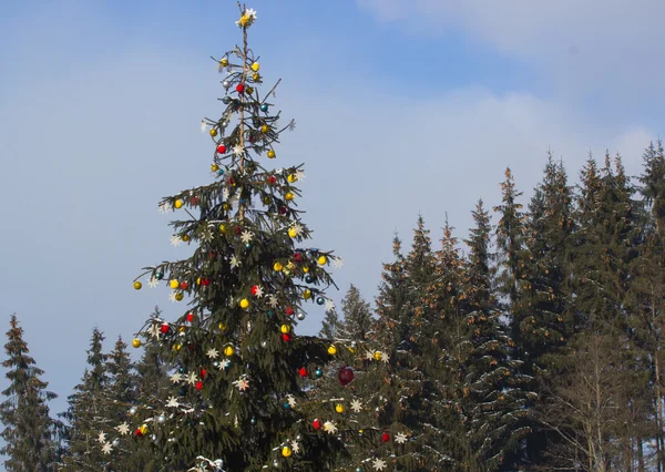 Weihnachtsbaum mit Lichtern im Winter — Stockfoto