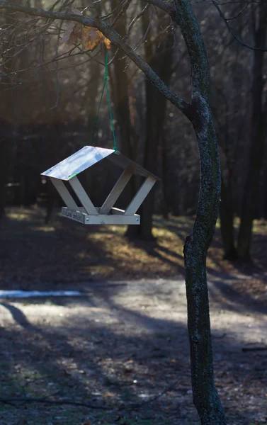 Trough for birds on a tree – stockfoto