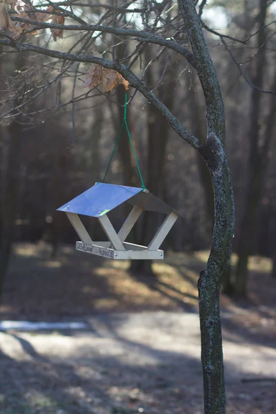 Abrevadero para pájaros en un árbol — Foto de Stock