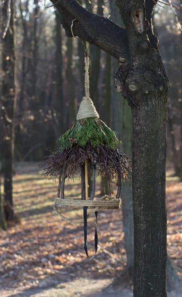 Abrevadero para pájaros en un árbol — Foto de Stock