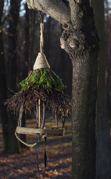 Abrevadero para pájaros en un árbol — Foto de Stock