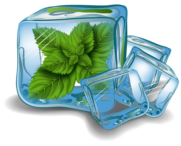 Mint in ice cube. vektor - Stok Vektor